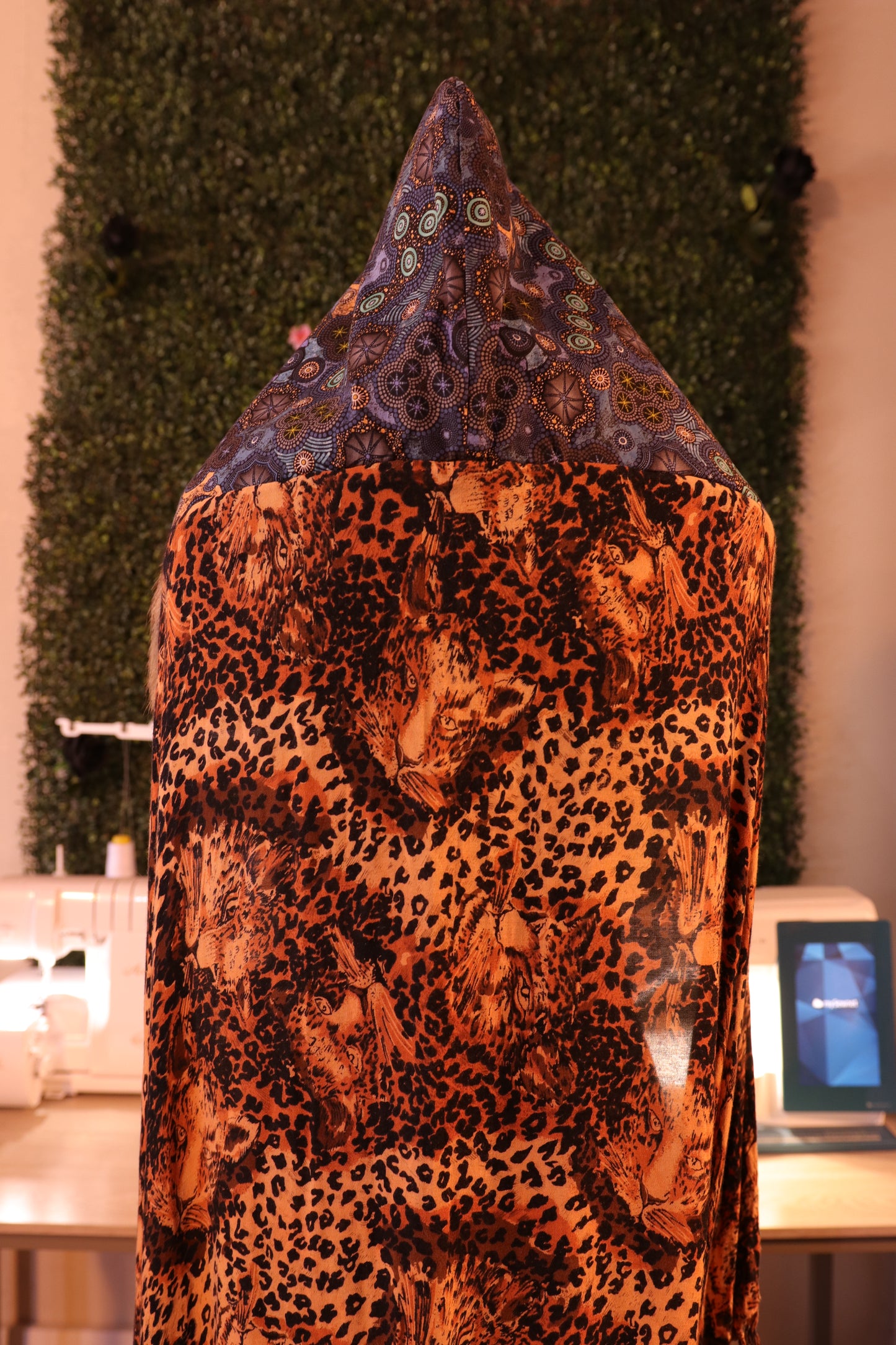 Cheetah Galaxy