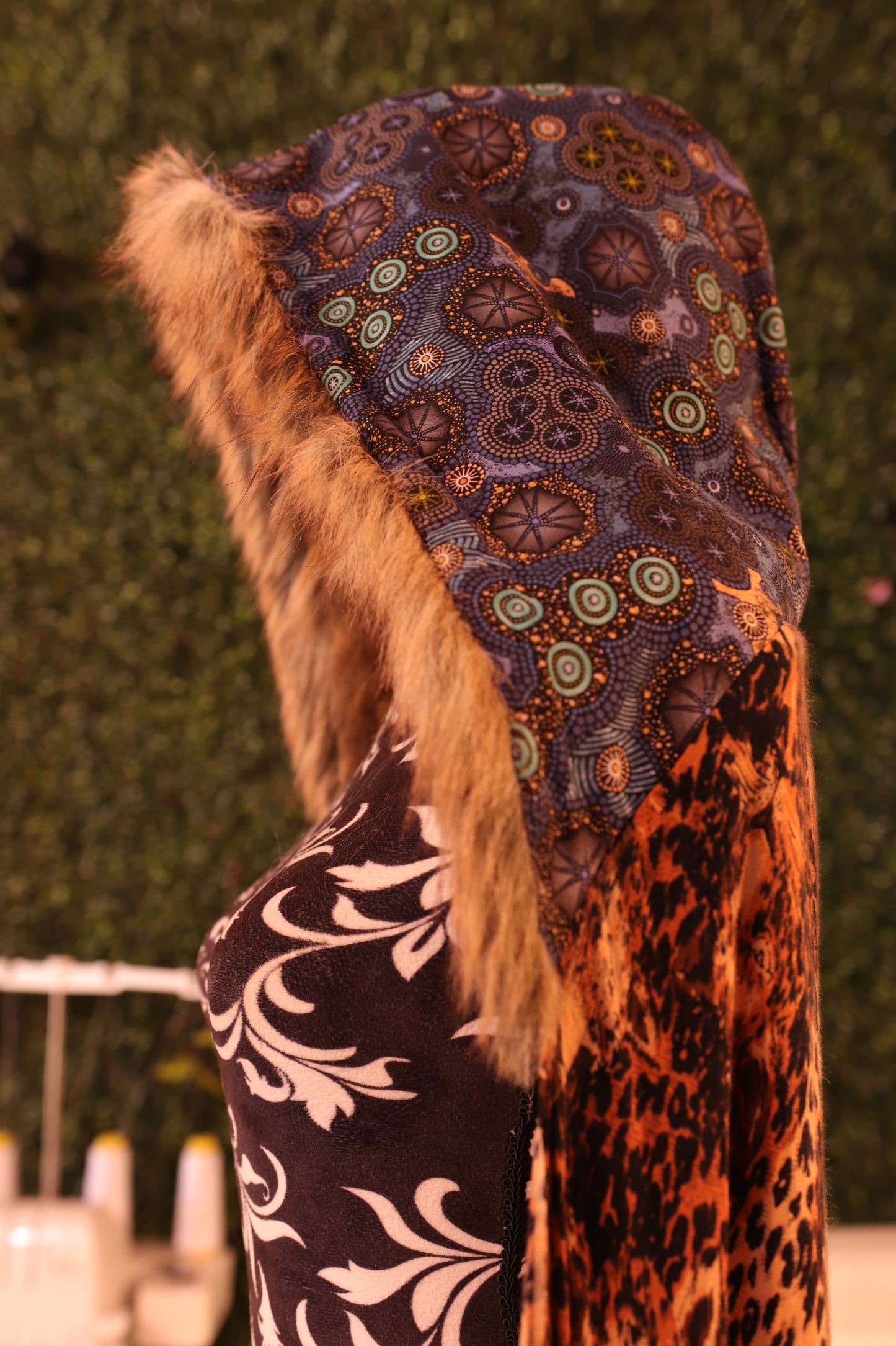 Cheetah Galaxy