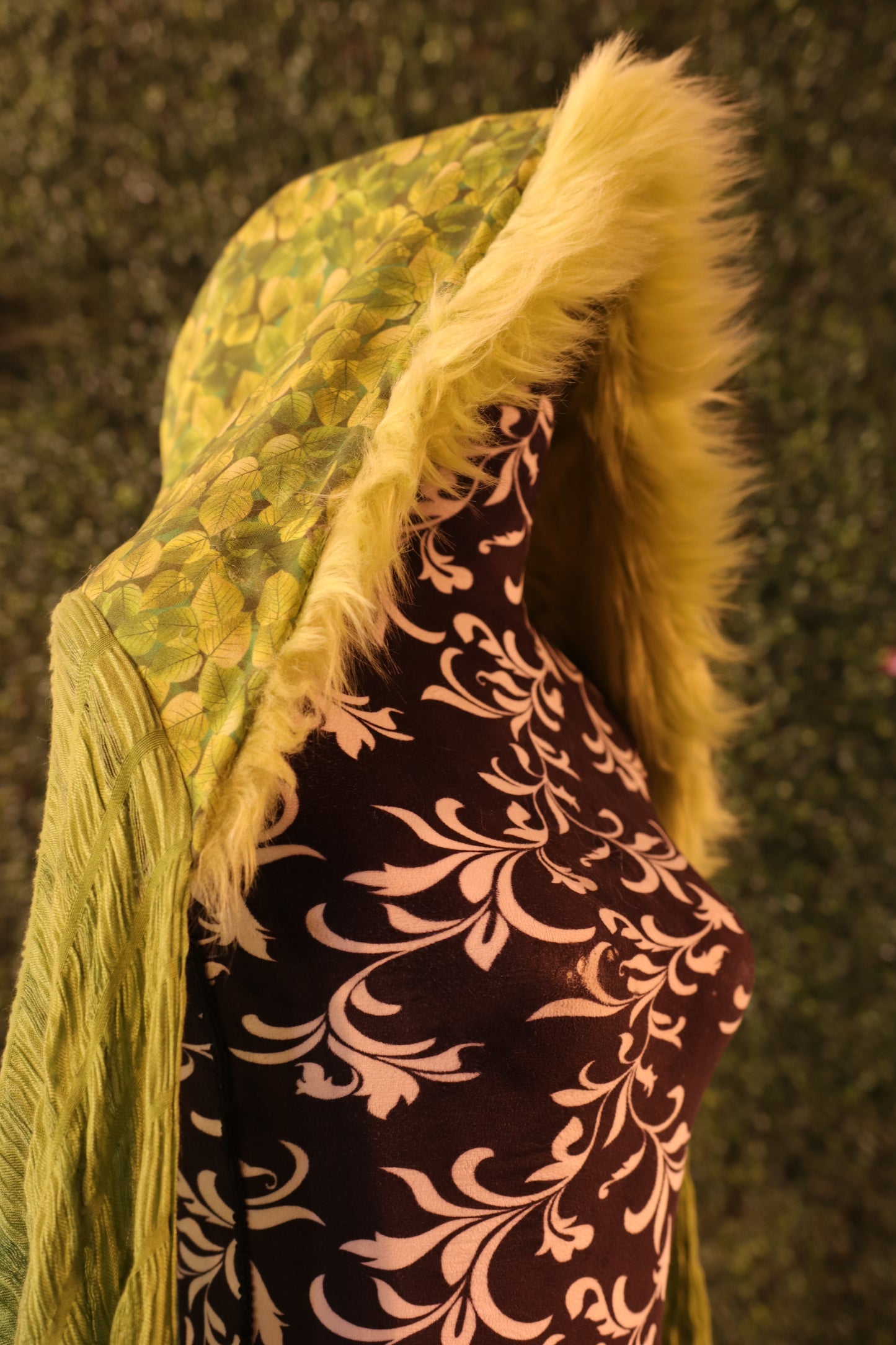 Forest Elf