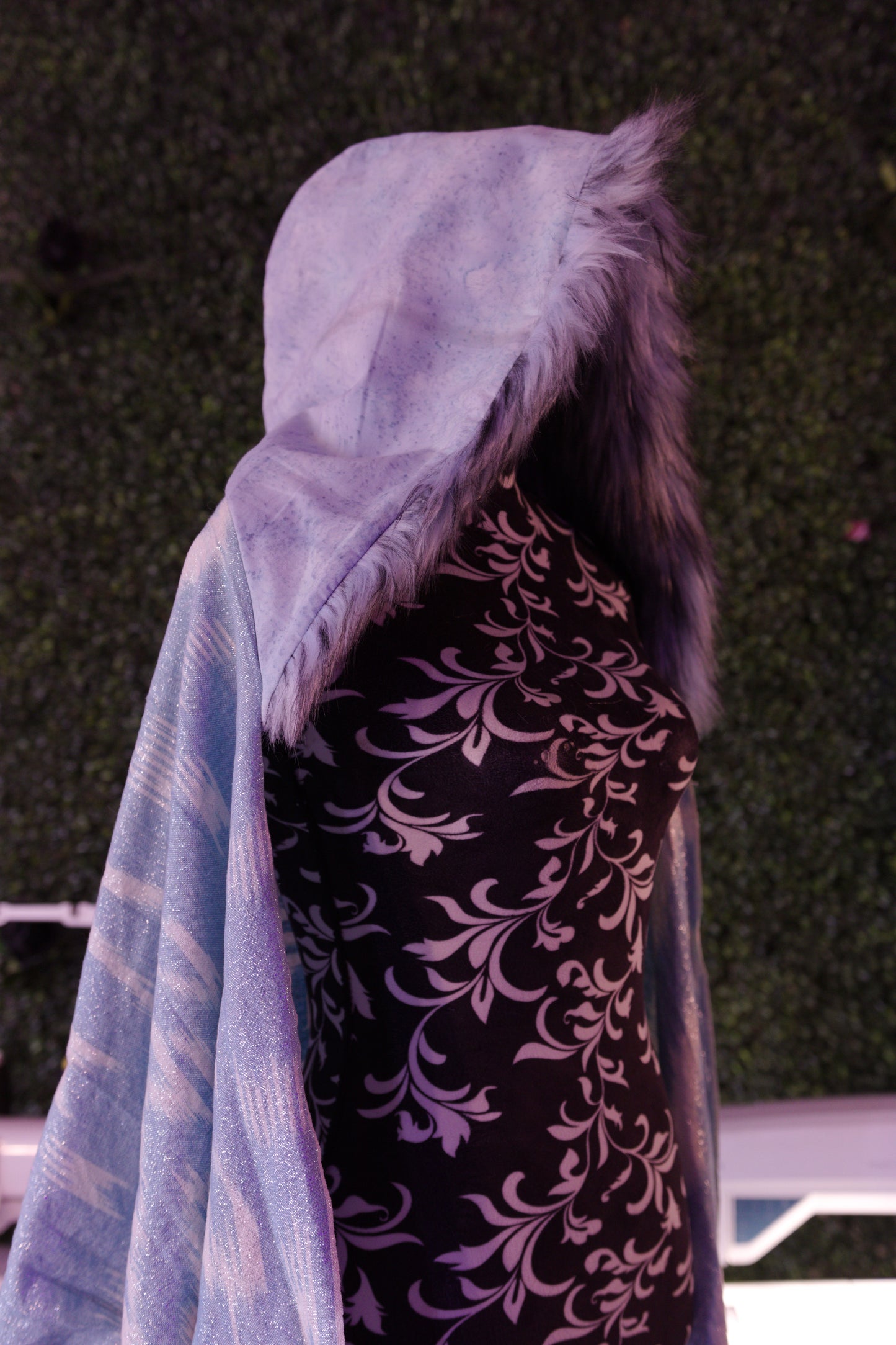Frost Princess